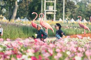 BIB: 
                            <button type="button" onclick="openModal(27344120)" class="btn btn-primary btn-sm float-right btn-popup" data-toggle="modal" data-target=".modal-high-quality">
                        <i class="fas fa-shopping-cart"></i> Add to Cart
                    </button>
                                            <button type="button" onclick="isThisMe(27344120, true)" class="btn btn-success btn-sm float-right btn-popup btn-isme hidden" data-toggle="tooltip" data-placement="bottom" title="นี่คือรูปของคุณใช่ไหม คลิกที่นี่เพื่อเอาเข้าอัลบั้ม">
                        <i class="fas fa-plus"></i> Add to album
                    </button>
                    <button type="button" onclick="isThisMe(27344120, false)" class="btn btn-warning btn-sm float-right btn-popup btn-isnotme hidden">
                        <i class="fas fa-ban"></i> Remove from album
                    </button>